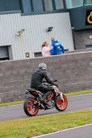 PJ-Motorsport-2019;anglesey-no-limits-trackday;anglesey-photographs;anglesey-trackday-photographs;enduro-digital-images;event-digital-images;eventdigitalimages;no-limits-trackdays;peter-wileman-photography;racing-digital-images;trac-mon;trackday-digital-images;trackday-photos;ty-croes